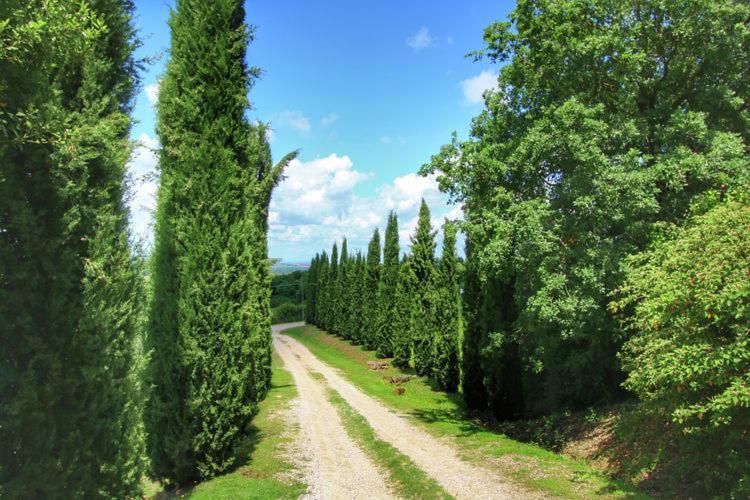 Podere Il Tigliolo กัสตีลีโยเน ดิ ออร์ชา ภายนอก รูปภาพ